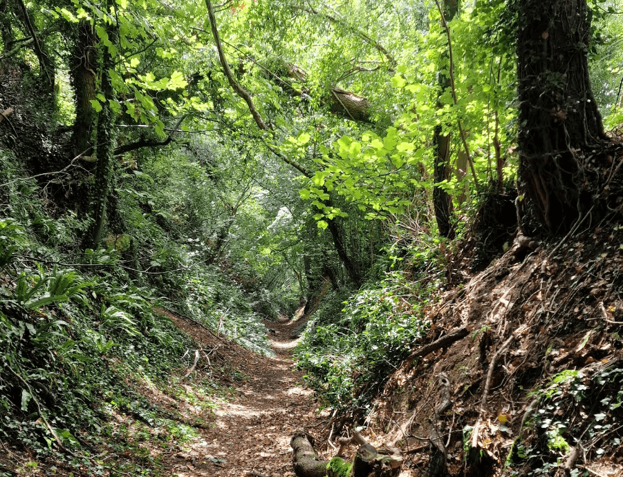 Wotton-Under-Edge to Hawkesbury Upton